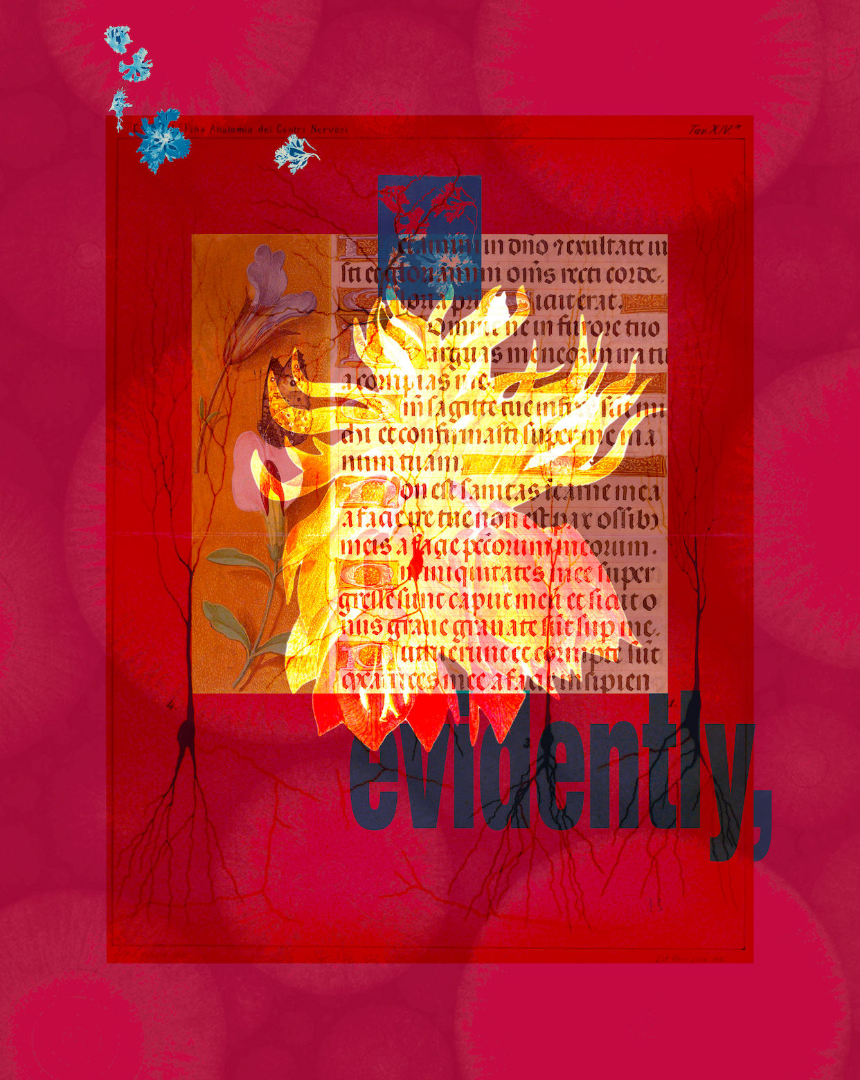 Evidently, an infinity scarf